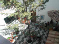 photo of the atrium of accommodation P.Vergos studios in Parga. 